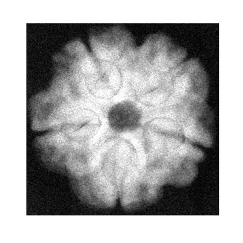 show image